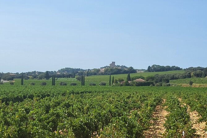 Roman Heritage & Wine Legacy - The road time is the main compromise