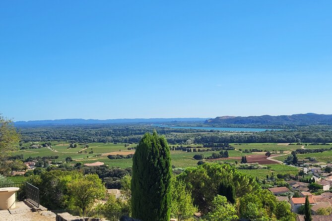 Roman Heritage & Wine Legacy - What Gordana adds to the afternoon