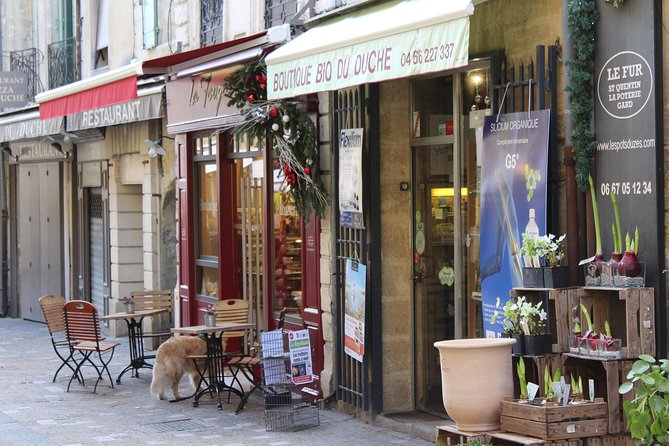 Roman Sites and Historical Places Day Trip from Avignon - The pace, vehicle, and comfort