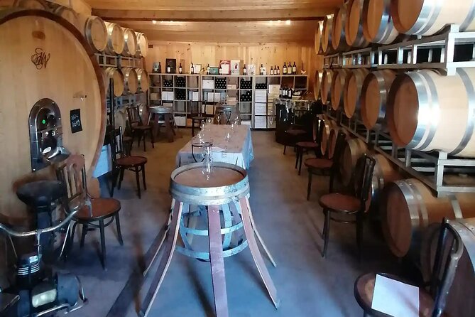 Saint-Émilion: 2 hours - Visit of the vineyard, the cellar and tasting - The barrel cellar and the wait before tasting