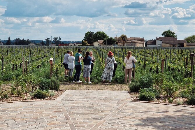 Saint-Emilion Afternoon Wine Tour - 2 Wineries & delicacies - The ride from Bordeaux to the vineyards