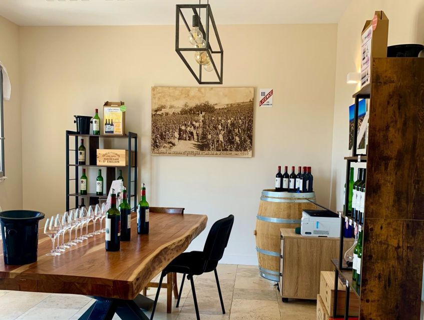 Saint-Émilion: Bordeaux Vineyard Tour and Wine Tasting - Inside the cellar and the winemaking process