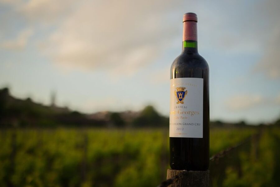 Saint-Émilion: Bordeaux Vineyard Tour and Wine Tasting - What the $21 price really gets you