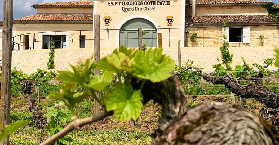 Saint-Émilion: Bordeaux Vineyard Tour and Wine Tasting - A small group makes a real difference