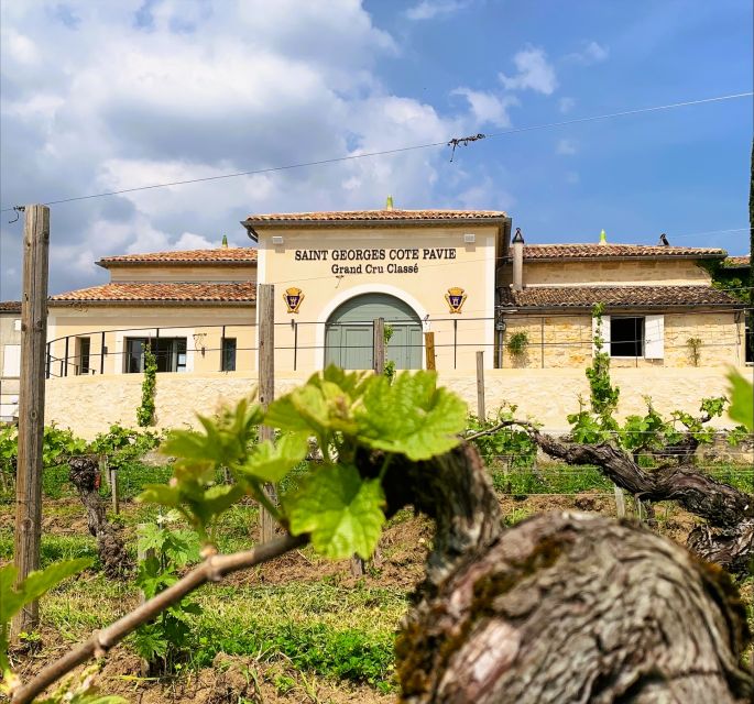 Saint-Émilion: Bordeaux Vineyard Tour and Wine Tasting - Who should book this château visit?