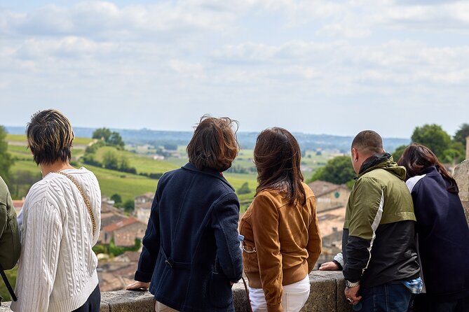 Saint-Émilion day tour: village visit, Châteaux and lunch - Two more estates, with useful comparisons