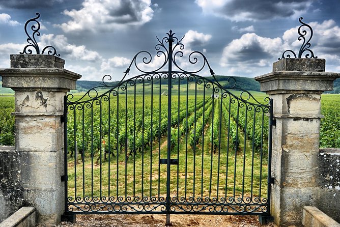 Saint Emilion Day Trip with Sightseeing Tour & Wine Tastings from Bordeaux - What the small group changes