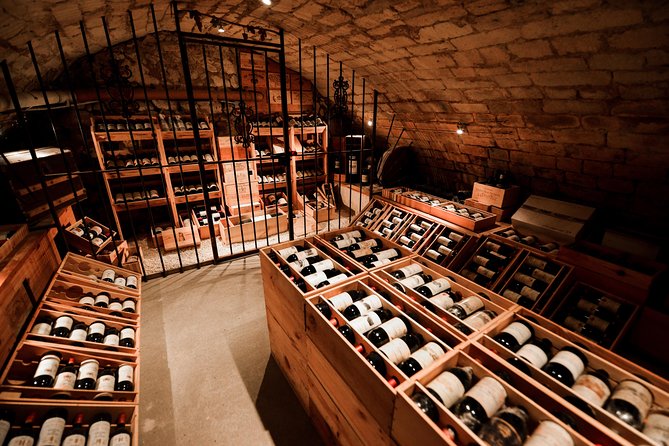 Saint-Emilion Food and Wine Day Tour - What the seven-hour schedule feels like