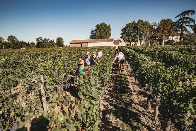 Saint-Emilion Food and Wine Day Tour - Château Ambe Tour Pourret: wine, property, and picnic