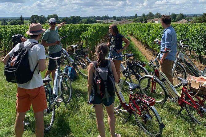 Saint Emilion Full Day Wine and Bike Tour - A family estate and the second wine tasting