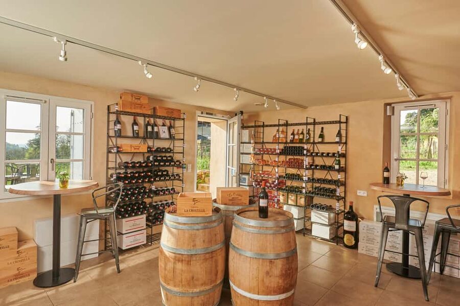 Saint-Emilion: Grand Cru Classé Gourmet Visit - Should you book the Saint-Emilion Grand Cru Classé visit?