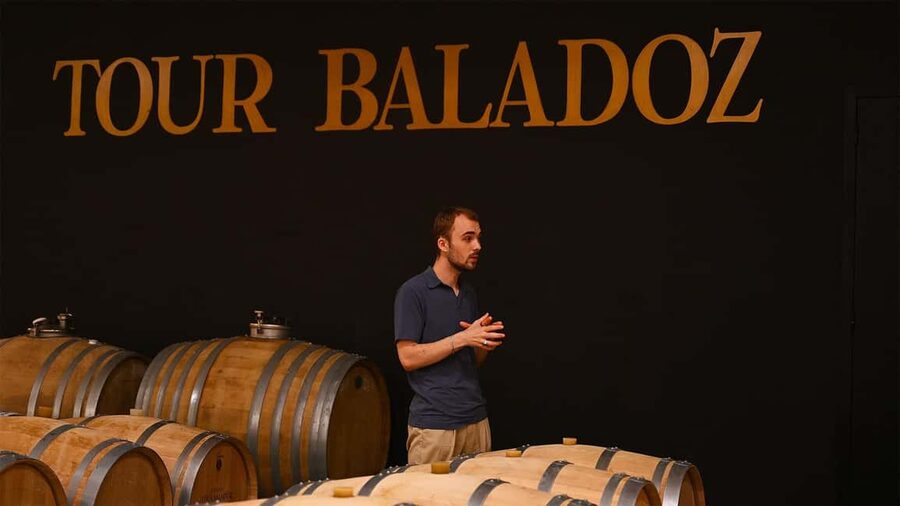 Saint-Emilion: Grand Cru Classé Gourmet Visit - La Croizille and the modern side of Bordeaux