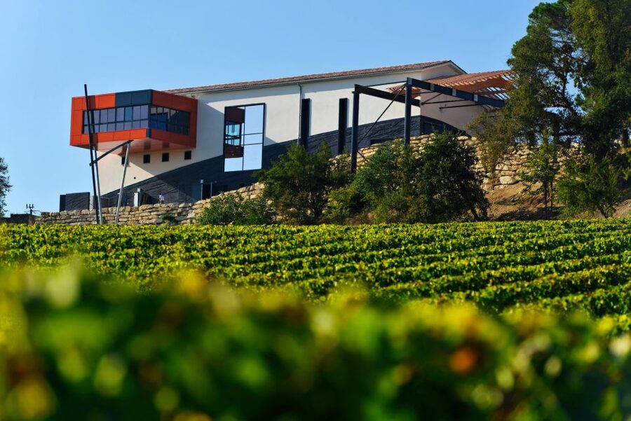 Saint-Émilion: Grand Cru Classé Winery Visit and Tasting - Is one hour enough?