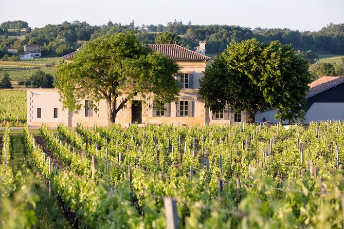 Saint Emilion Half-Day Trip with Wine Tasting & Winery Visit from Bordeaux - How much value do you get for $133.02?