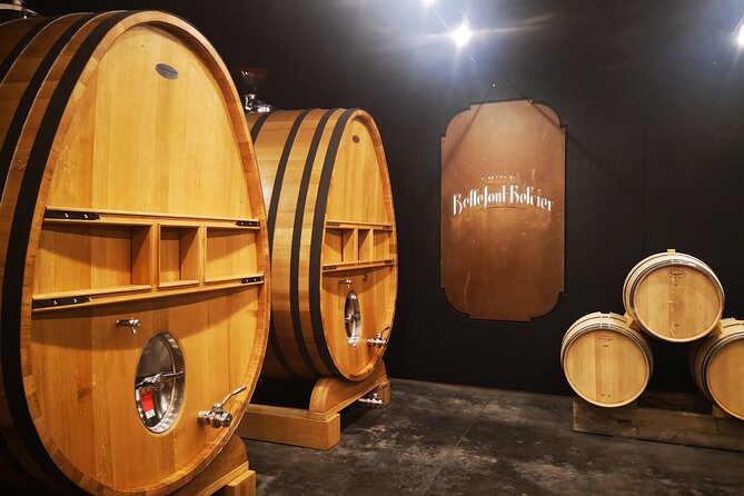 Saint-Emilion Private Full Day Wine Tour from Bordeaux - Why Saint-Émilion works so well as a full-day trip