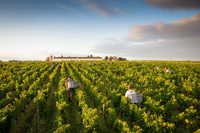 Saint-Emilion Private Full Day Wine Tour from Bordeaux - A closer look at Saint-Émilion village