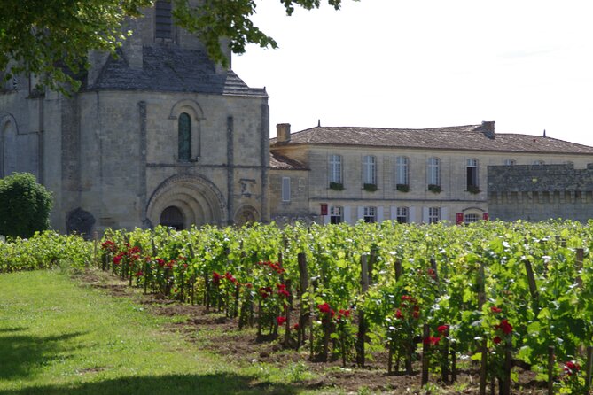 Saint-Emilion Private Full Day Wine Tour from Bordeaux - Timing, group size, and practical comfort