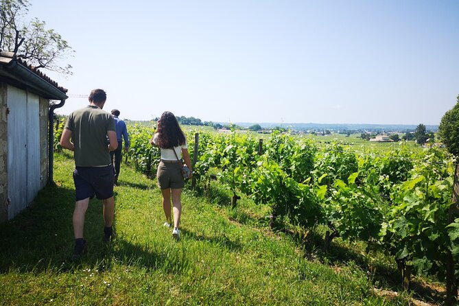 Saint-Emilion Private Full Day Wine Tour from Bordeaux - Who will enjoy this private wine day