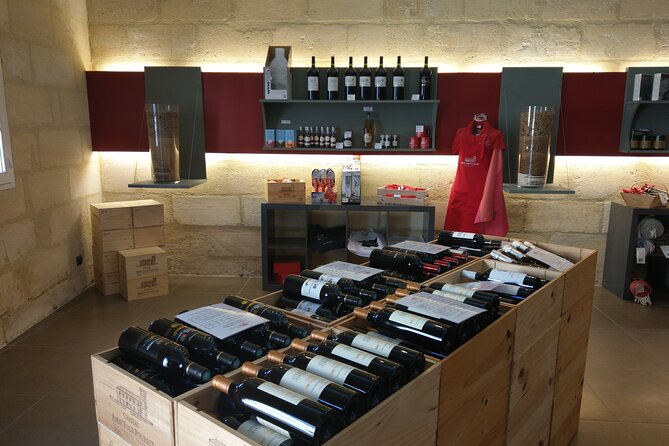 Saint-Emilion Private Full Day Wine Tour from Bordeaux - The guides make the difference