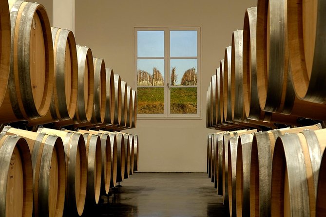 Saint-Emilion Private Half Day Wine Tour from Bordeaux - What happens at the Saint-Émilion winery