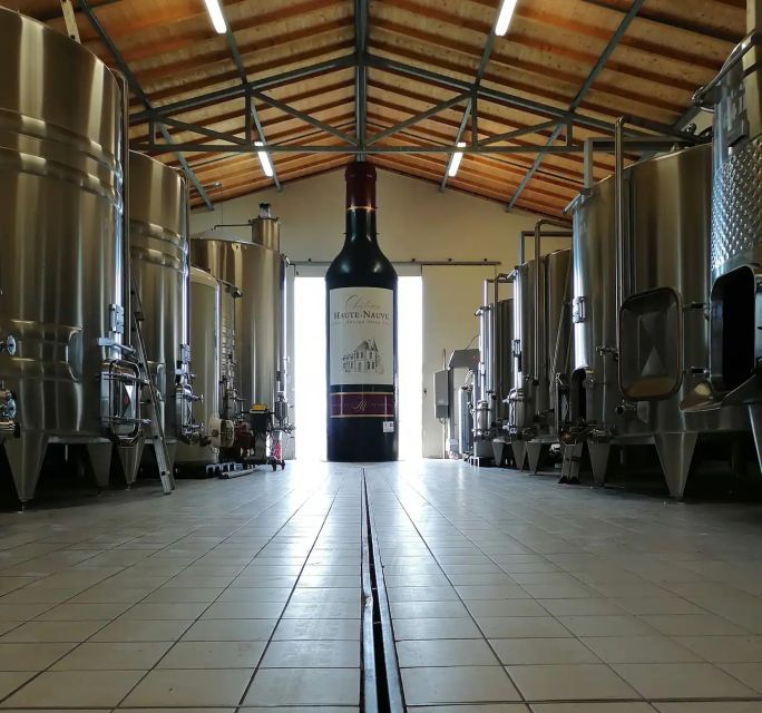 Saint-Émilion: Vineyard Walking Tour and Tasting - Why this château visit feels personal