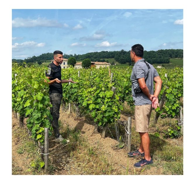 Saint-Émilion: Vineyard Walking Tour and Tasting - Booking value and practical planning