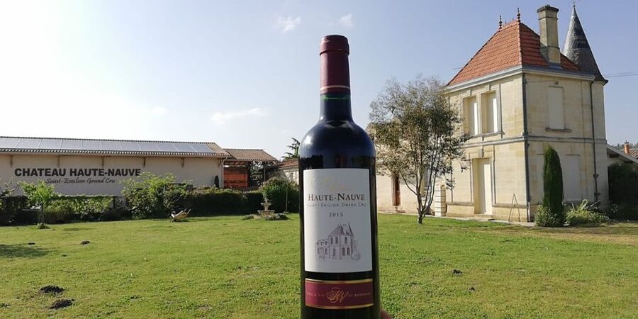 Saint-Émilion: Vineyard Walking Tour and Tasting - Walking through the vines near Saint-Émilion