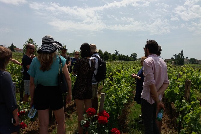 Saint Emilion Wine Tour Tasting Half Day from Bordeaux - Two wineries, one medieval village, and a short day from Bordeaux