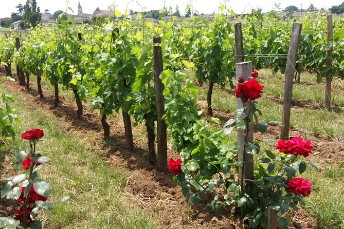 Saint Emilion Wine Tour Tasting Half Day from Bordeaux - Saint-Émilion is more than a backdrop for wine
