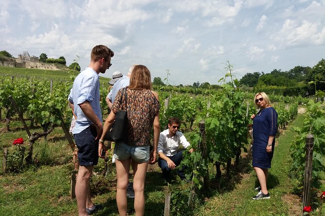 Saint Emilion Wine Tour Tasting Half Day from Bordeaux - The tasting format is friendly, but do not confuse snacks with lunch