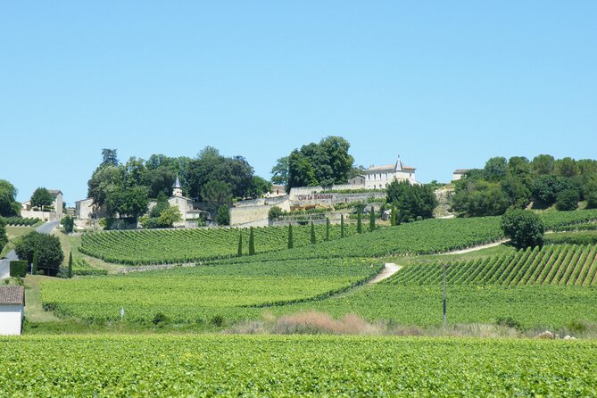 Saint Emilion Wine Tour Tasting Half Day from Bordeaux - Guide quality can shape the whole afternoon
