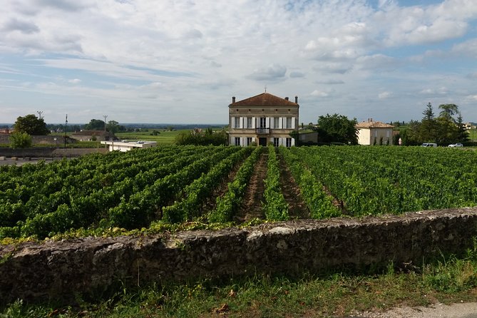 Saint Emilion Wine Tour Tasting Half Day from Bordeaux - Who gets the most value from this half-day tour