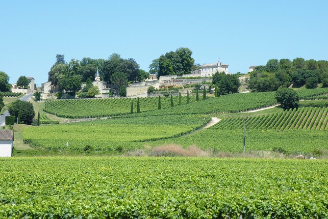 Saint Emilion Wine Tour Tasting Half Day from Bordeaux - The family-run estate adds a more personal contrast