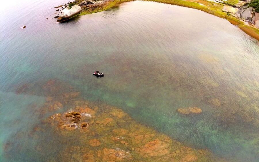 Saint-Jean-de-Luz, Basque country: Boat tour along the Coast - Cap Figuier and the swimming pause