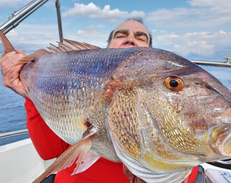 Saint-Laurent-du-Var: 4-Hour Fishing Trip - Price and what you receive for $695