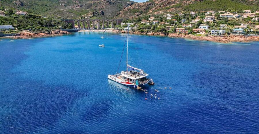 Saint Raphaël: Guided cruise, discover a beautiful coastline - Paddleboards, snacks, and the included drinks
