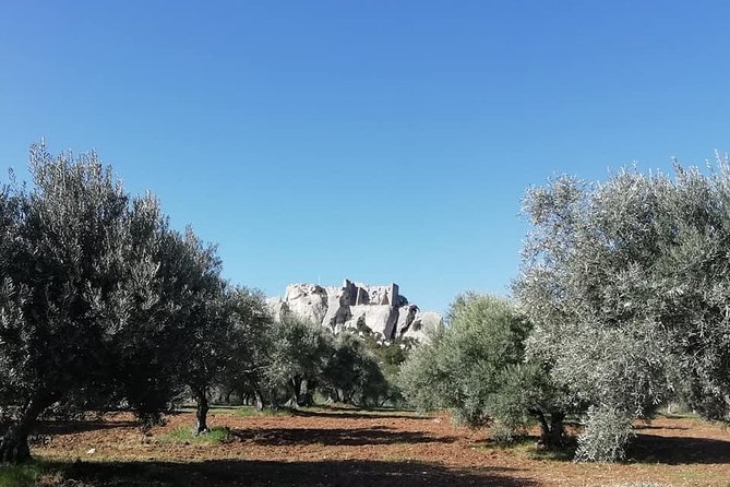 Saint Remy, Les Baux and Pont du Gard Small Group Half-Day Trip - Saint-Rémy-de-Provence: town life and Van Gogh connections