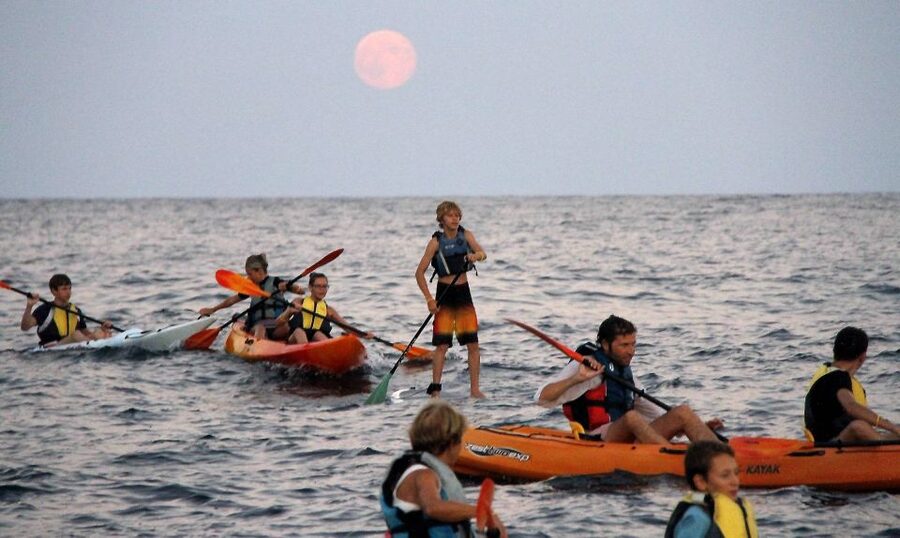 Saint-Tropez: Kayak Experience in Ramatuelle Reserve - Starting from Chemin Garonne Beach