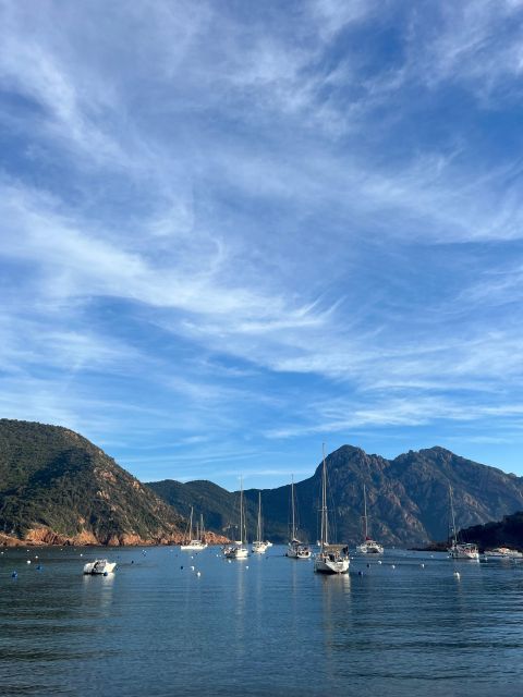 Scandola, Piana & Girolata - Who Should Book This Calvi Boat Trip?