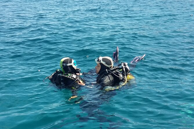 Scuba diving baptism - A first underwater experience at Lion de Mer