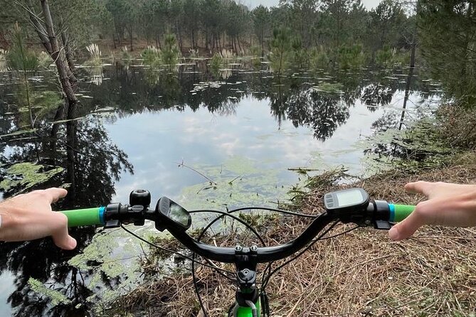 Seignosse electric scooter excursion - Riding a fat-tire scooter through the Landes forest