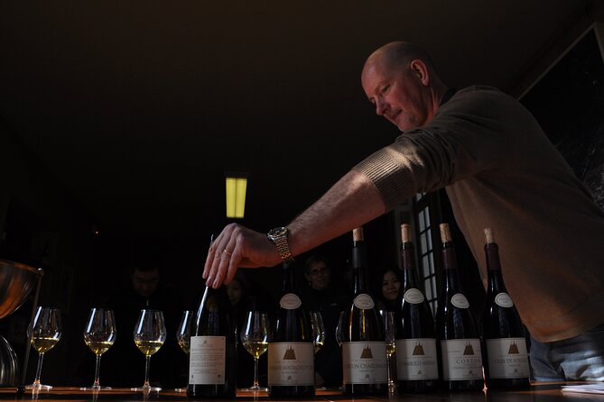 Small group Burgundy tour of Beaune with Wine Tasting from Dijon - The road from Dijon to the Côte des Grands Crus