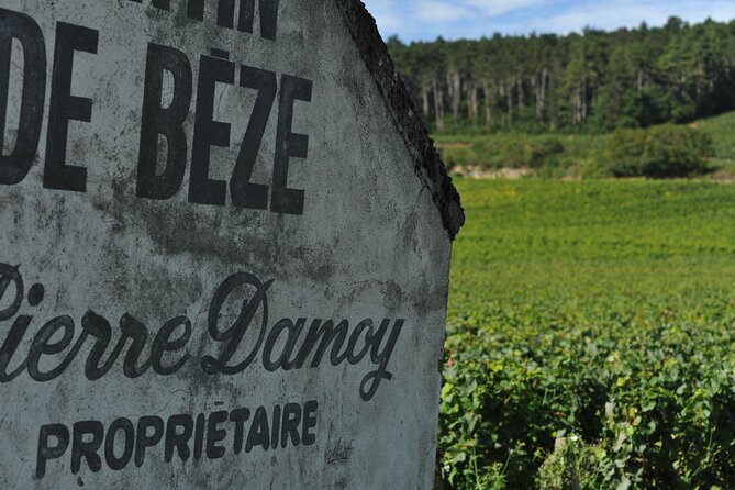 Small group Burgundy tour of Beaune with Wine Tasting from Dijon - What the schedule means in practice