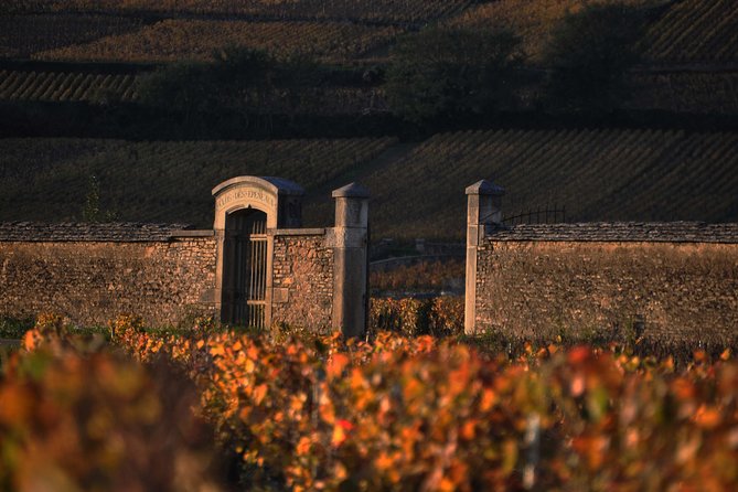 Small-Group Full-Day Tour of Côte de Nuits, Côte de Beaune Vineyards and Beaune Historical District - The Côte de Beaune and the return through wine country