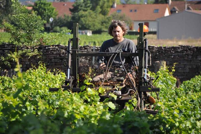 Small-Group Full-Day Tour of Côte de Nuits, Côte de Beaune Vineyards and Beaune Historical District - How much value do you get for $161.32?