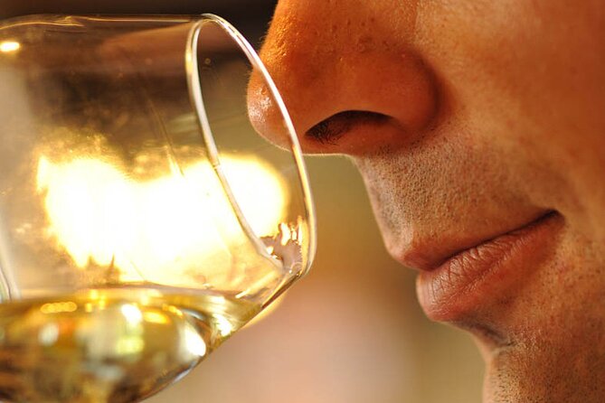Small-Group Full-Day Tour of Côte de Nuits, Côte de Beaune Vineyards and Beaune Historical District - Who will enjoy this Burgundy day trip?