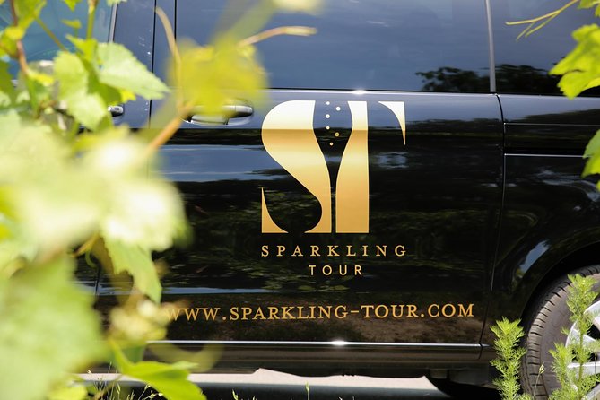Small Group - Half Day Champagne Tour - Visit of 2 Small Producers/Growers - Practical booking advice before you go