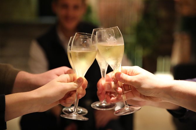 Small Group - Half Day Champagne Tour - Visit of 2 Small Producers/Growers - Meeting at Reims train station