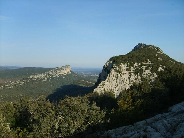 Small-Group Half-Day Languedoc Pic Saint-Loup Wine Tour from Montpellier - Key points to know before booking