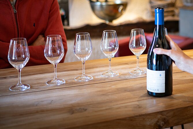 Small-Group Half-Day Languedoc Pic Saint-Loup Wine Tour from Montpellier - What the guides add to the afternoon
